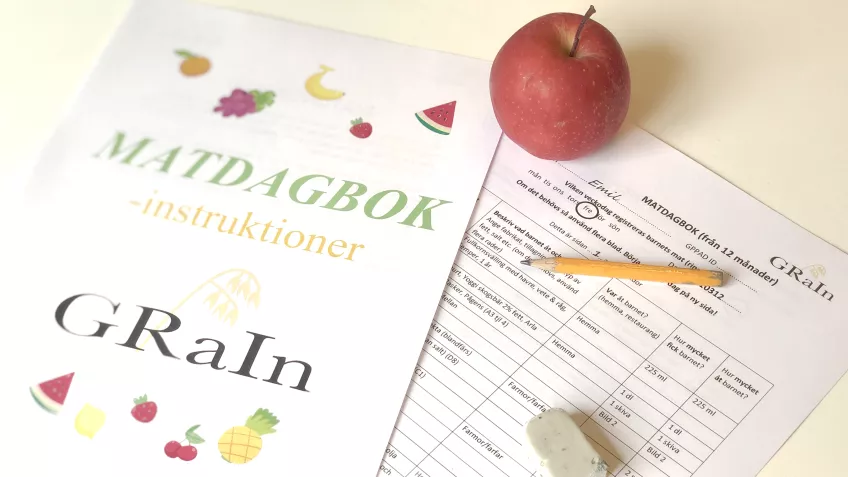 Instruktioner till matdagboken i Grain och blanketter ligger på ett bord tillsammans med ett rött äpple en blyertspenna och ett suddigummi. Foto.