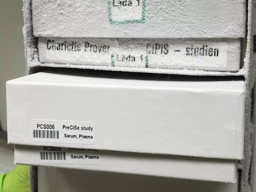 En frostig kartong som innehåller nedfrysta blodprover. På en etikett står det Precise Study, serum plasma och en streckkod. Foto.